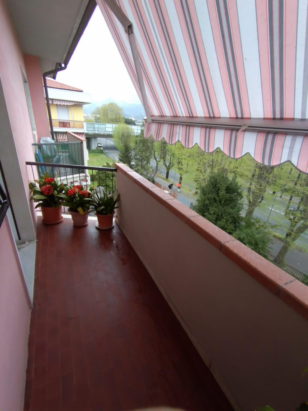 immagine annuncio 5 di 9