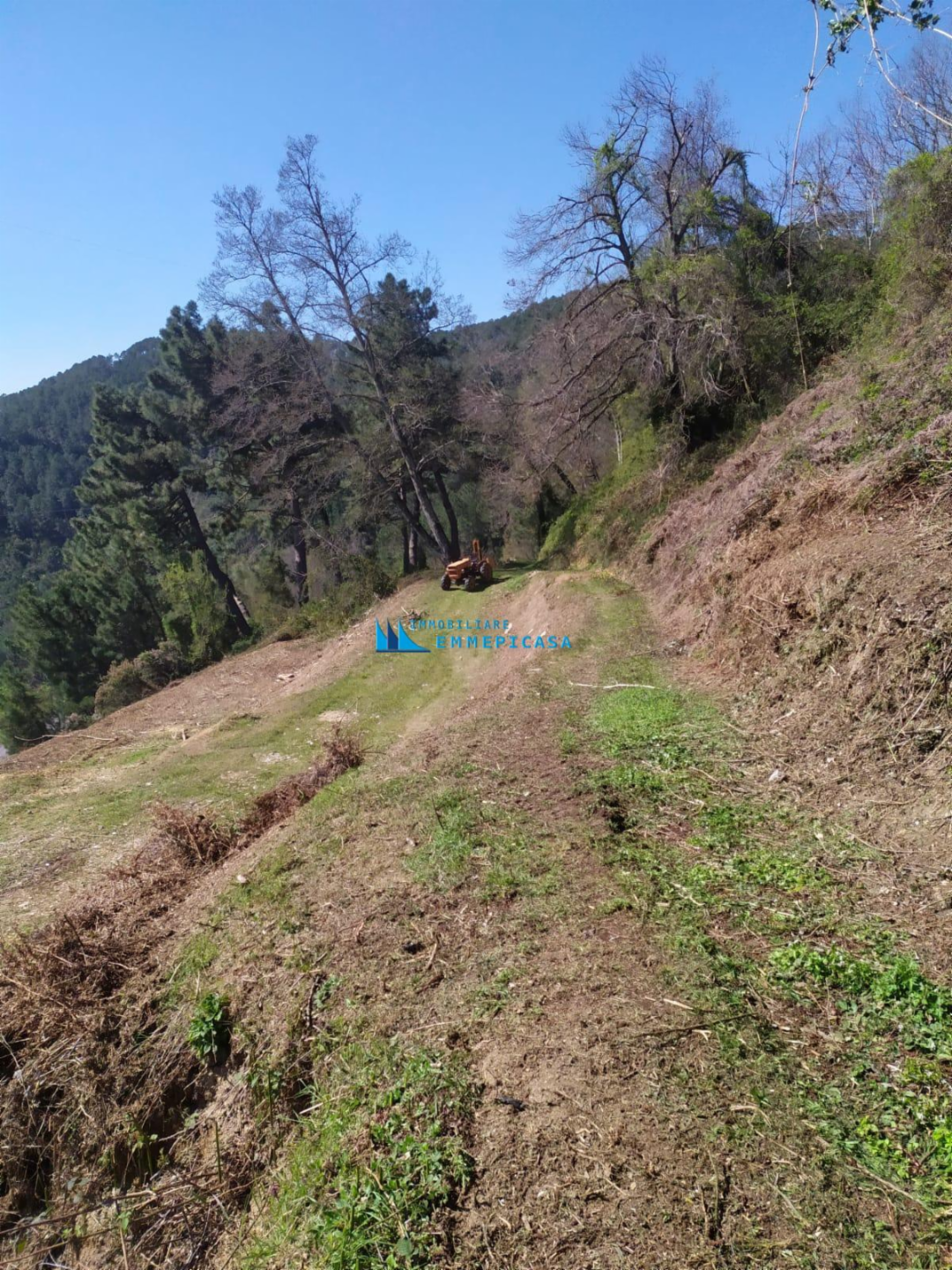 immagine annuncio 8 di 10