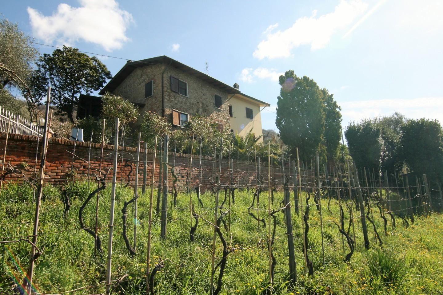 immagine annuncio 4 di 10