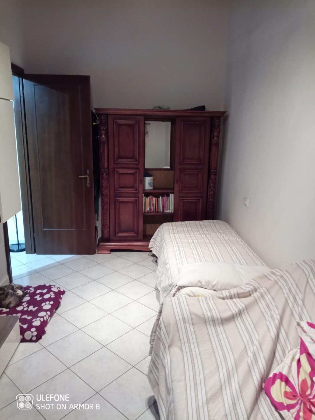 immagine annuncio 3 di 7