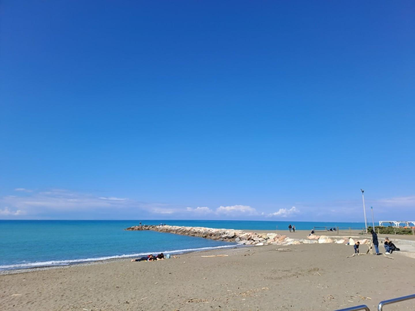 immagine annuncio 1 di 2