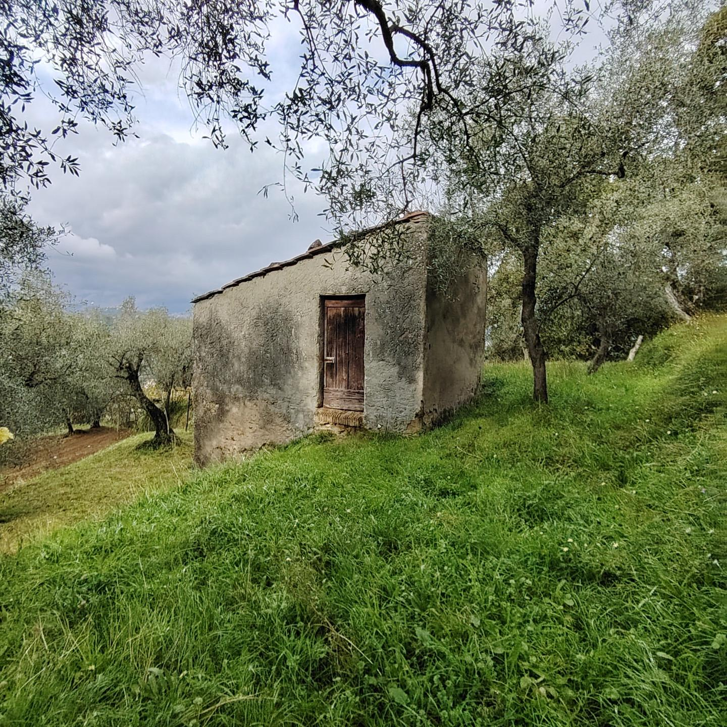 immagine annuncio 1 di 8