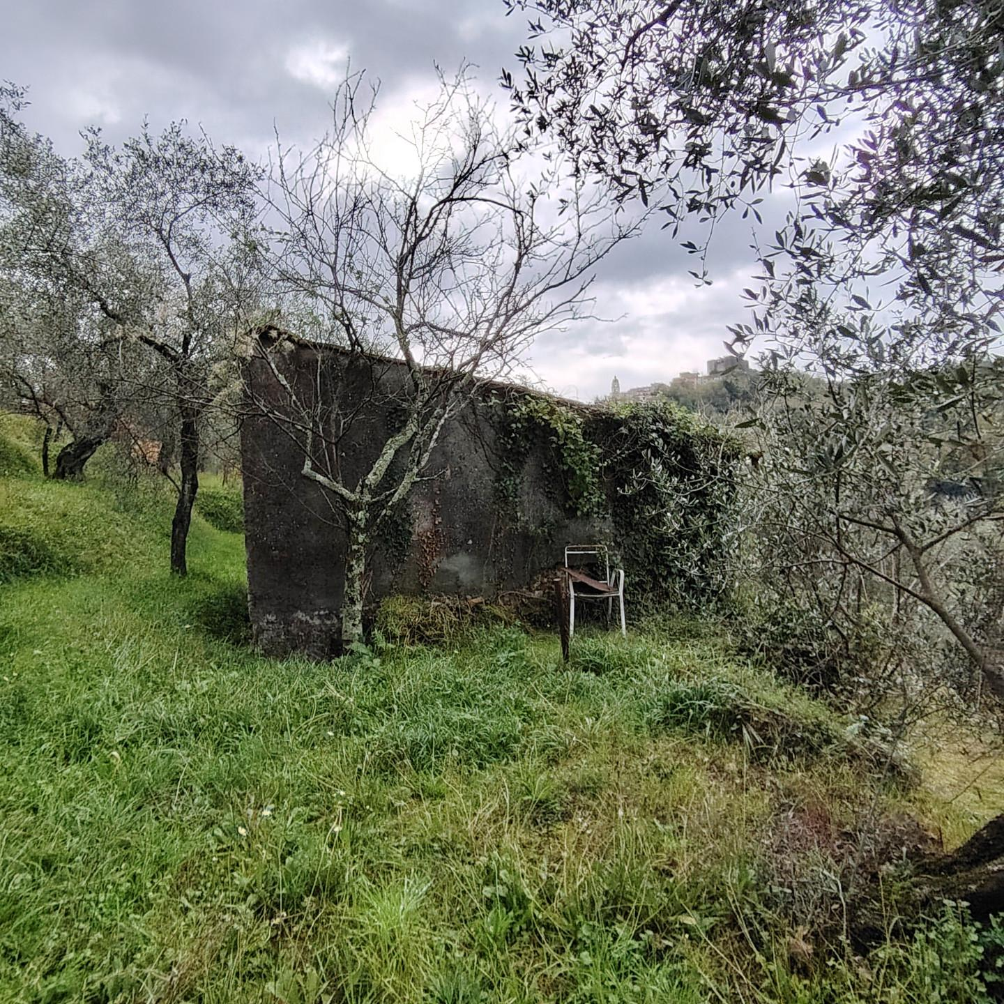 immagine annuncio 3 di 8