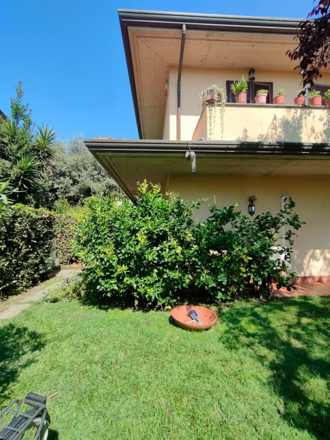 immagine annuncio 7 di 10