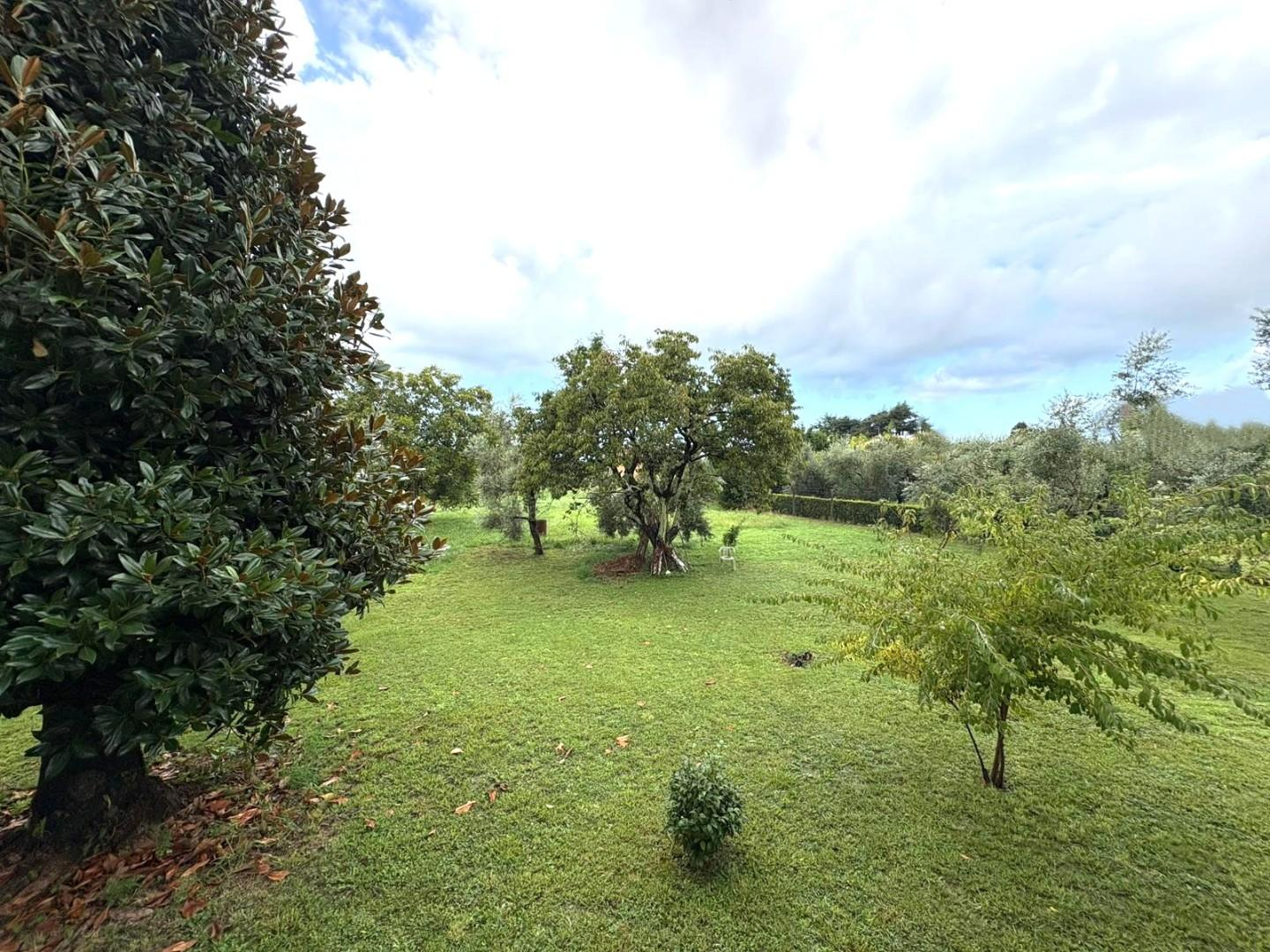 immagine annuncio 2 di 4