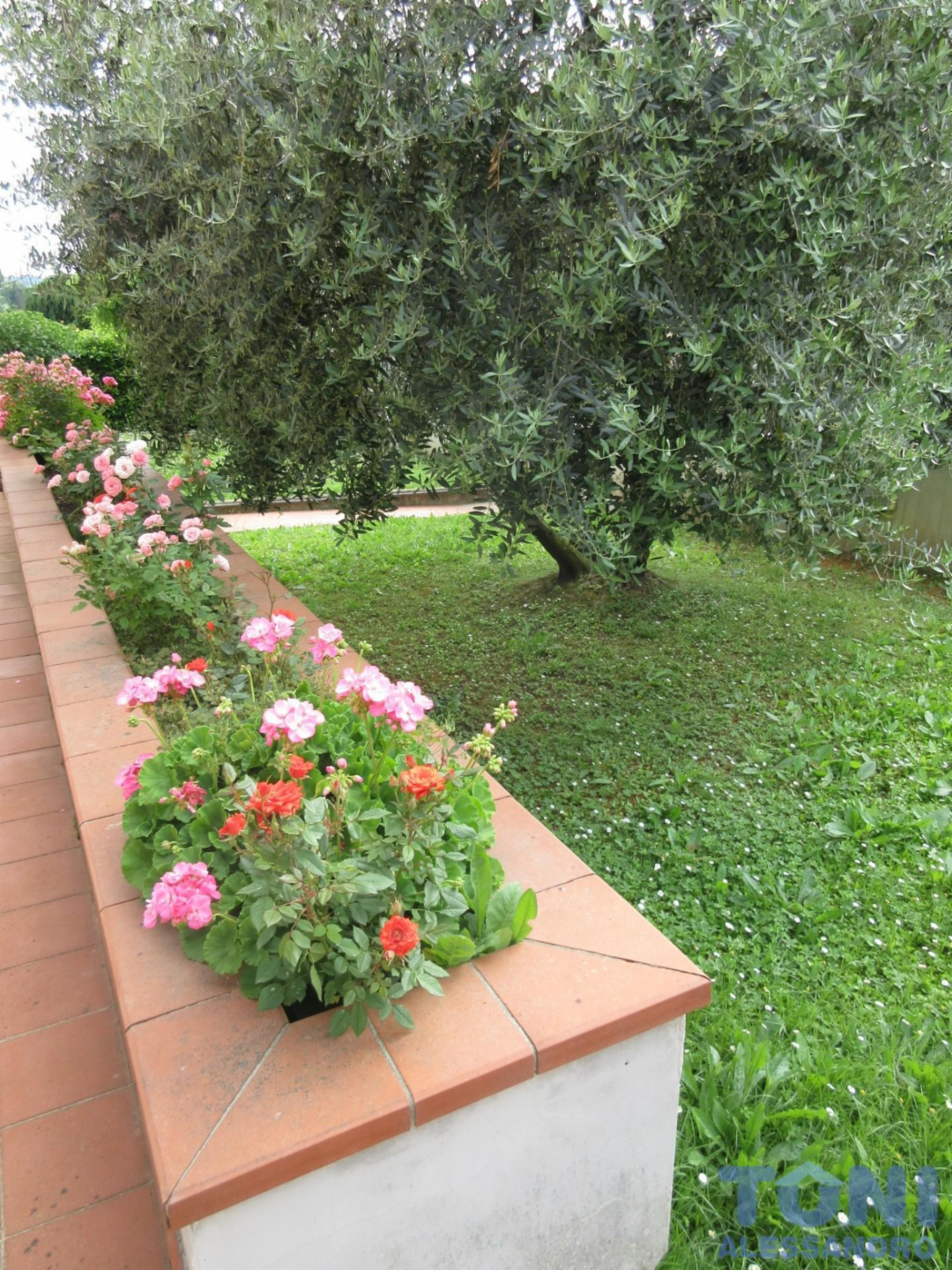 immagine annuncio 7 di 8