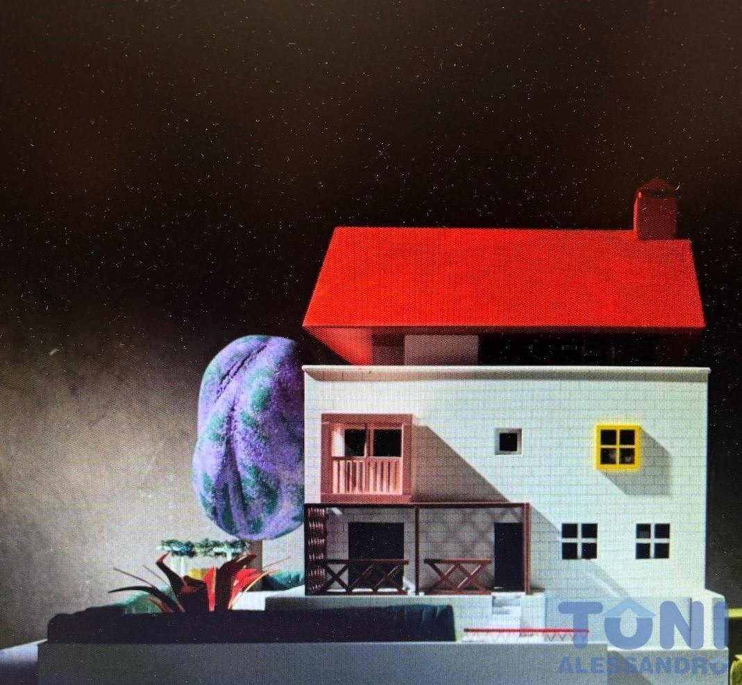 immagine annuncio 1 di 2