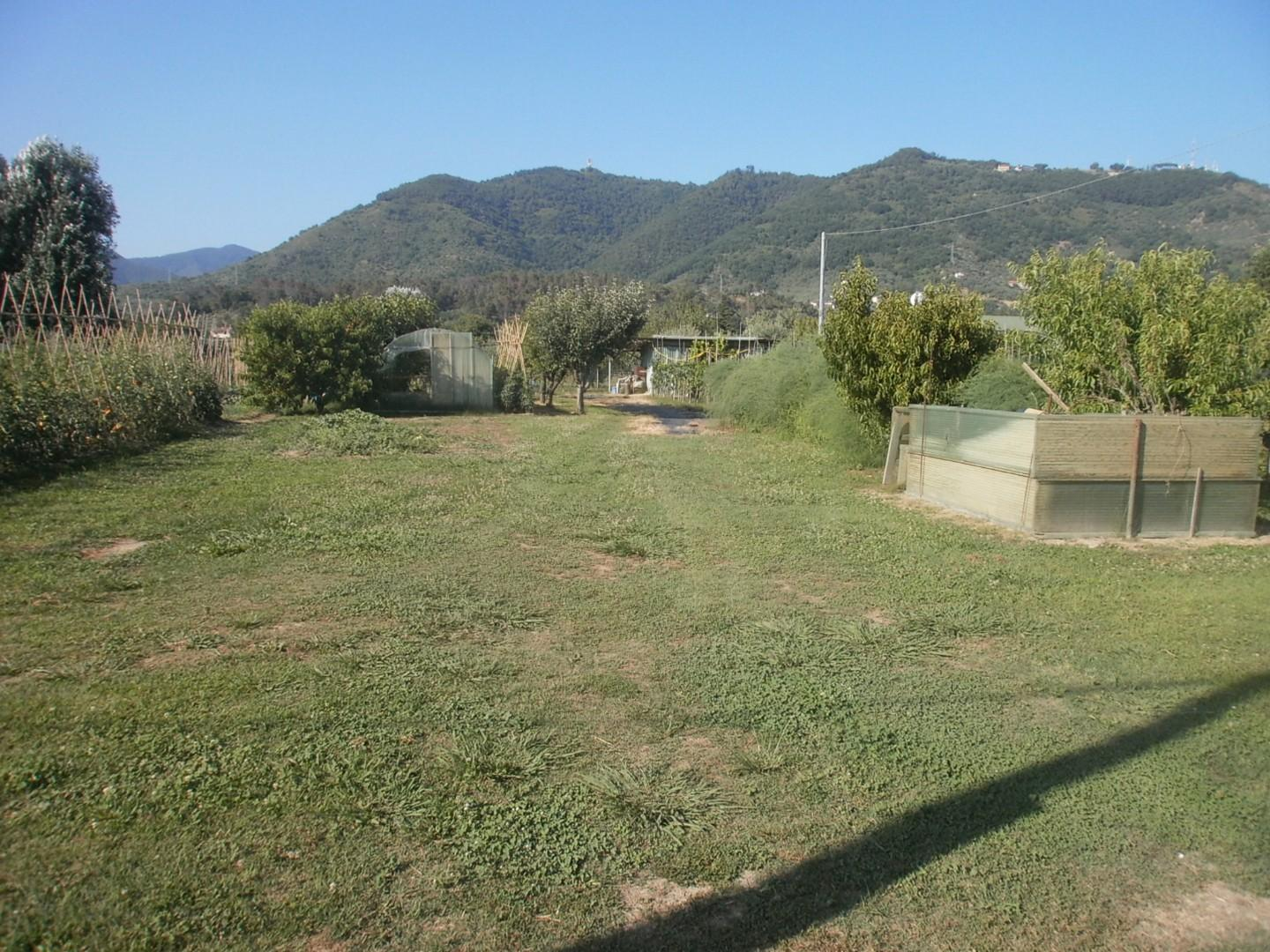 immagine annuncio 2 di 9
