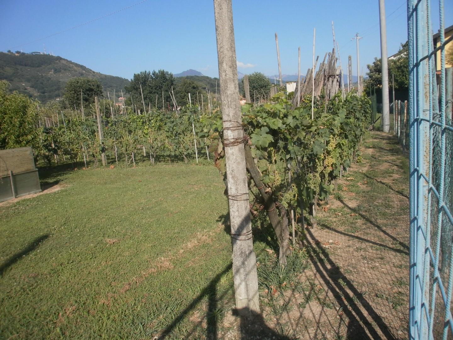 immagine annuncio 3 di 9