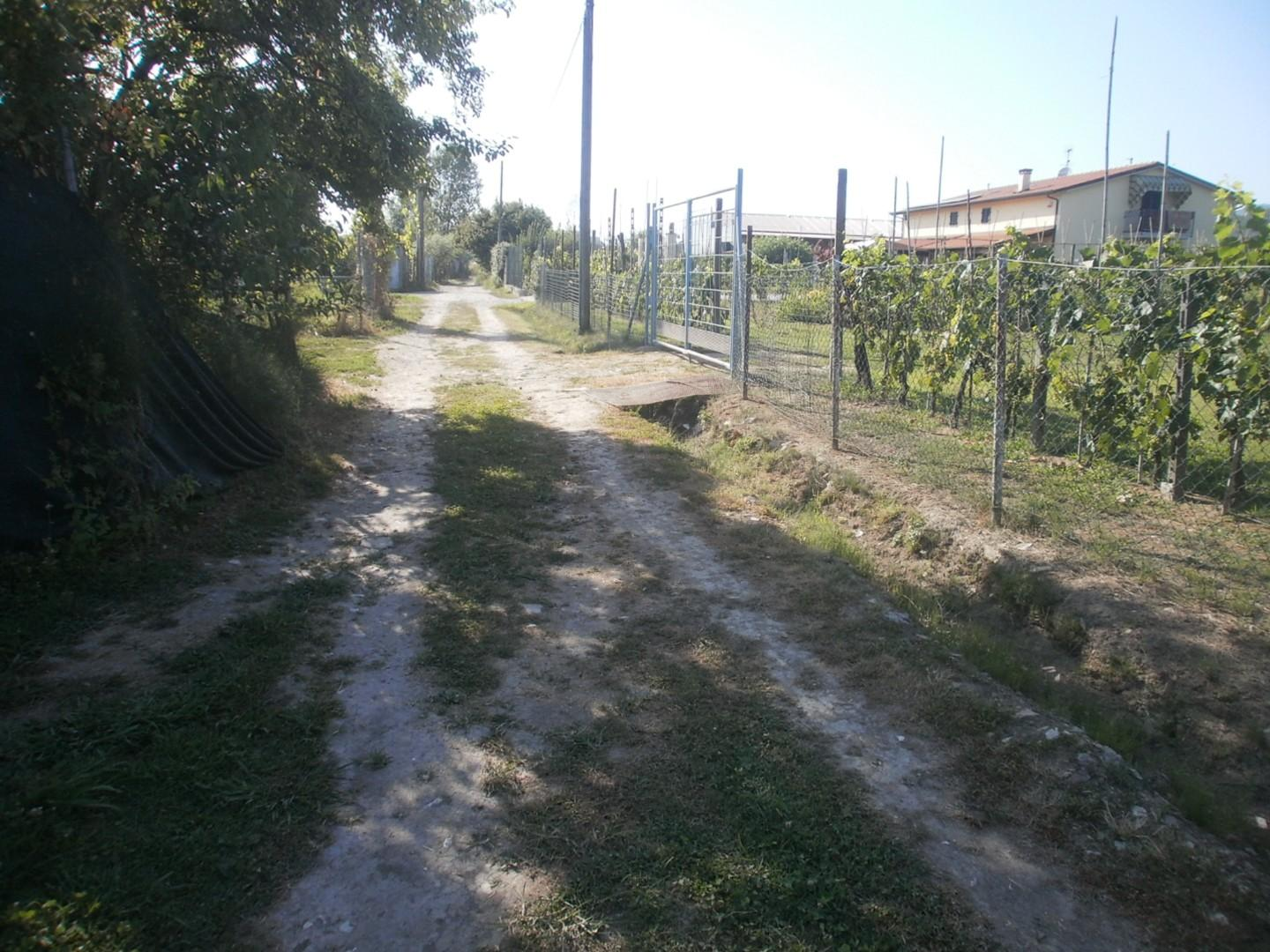 immagine annuncio 8 di 9