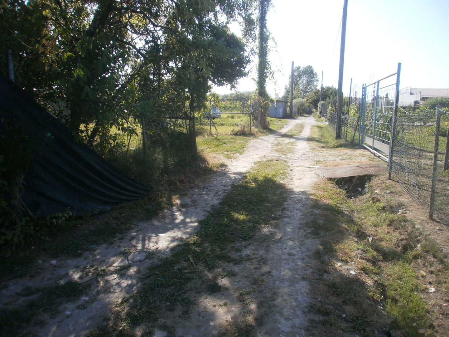 immagine annuncio 6 di 9