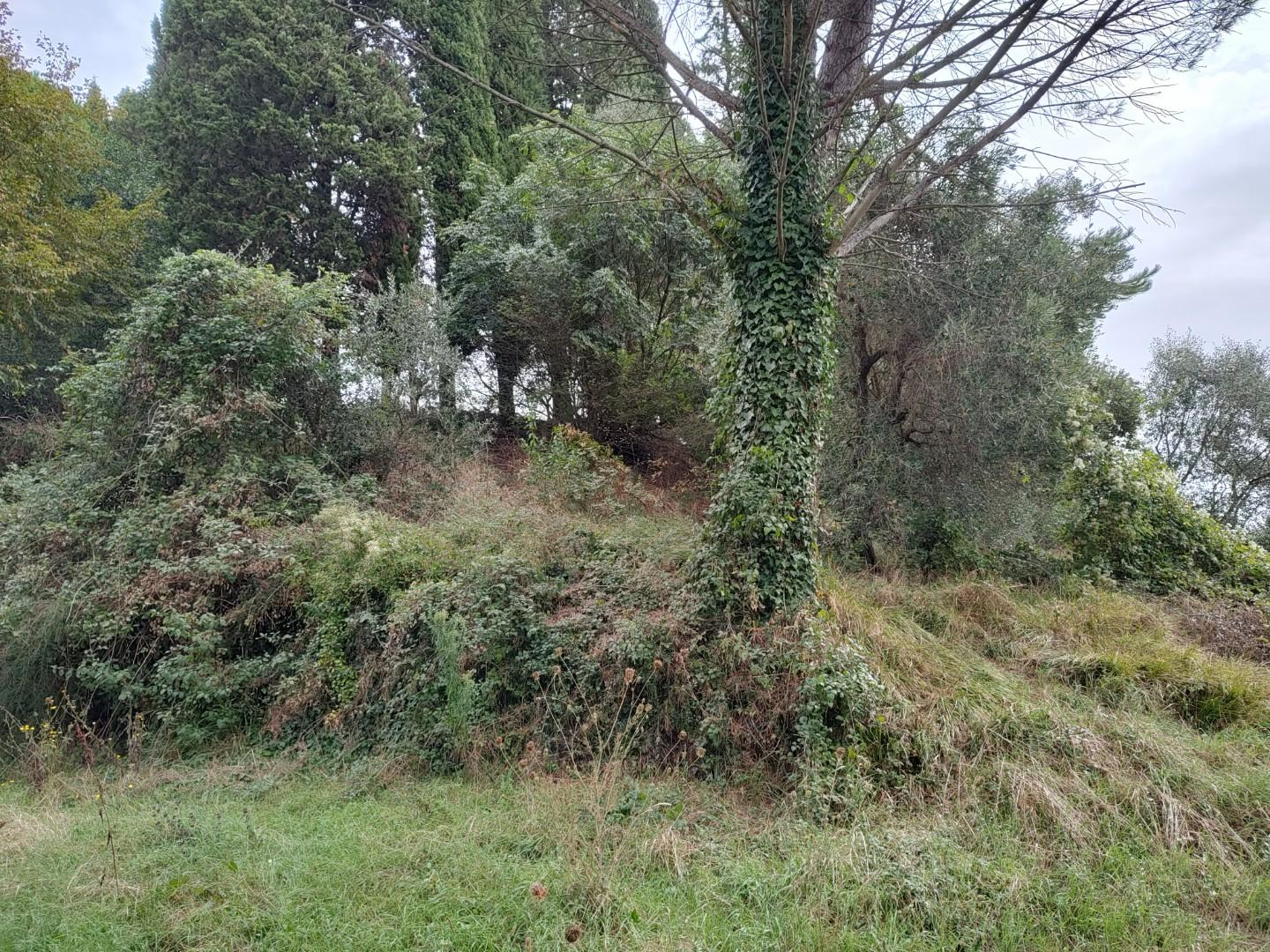 immagine annuncio 2 di 7