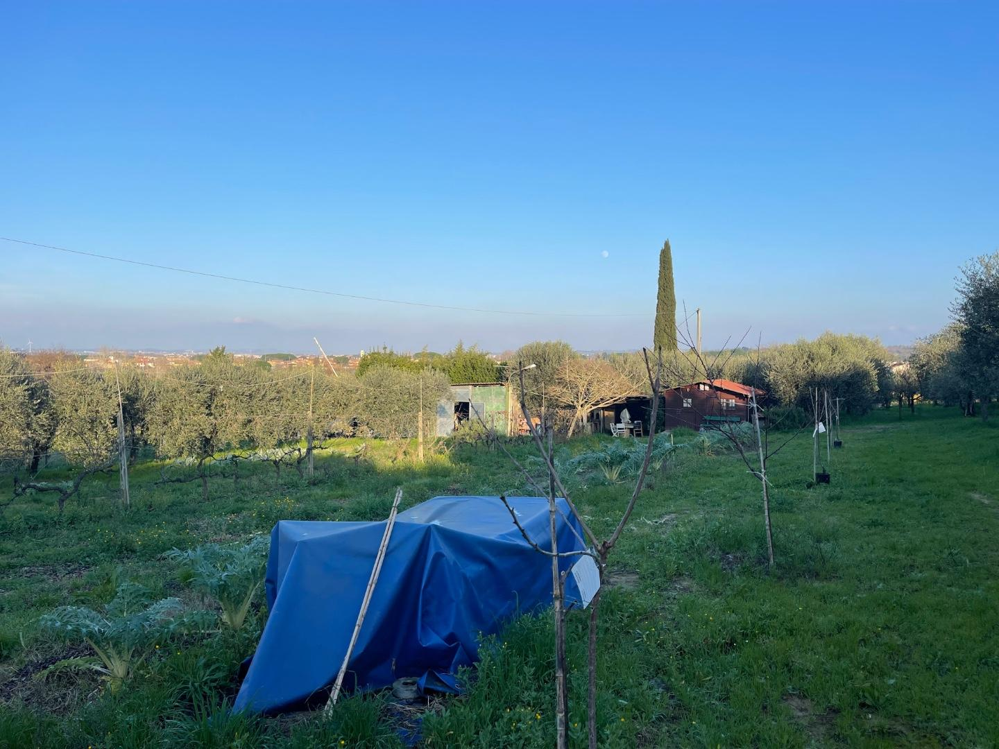 immagine annuncio 4 di 9