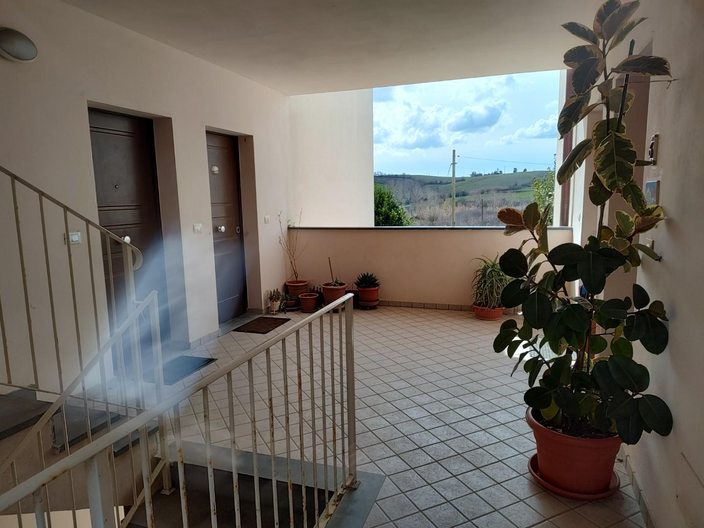immagine annuncio 7 di 9