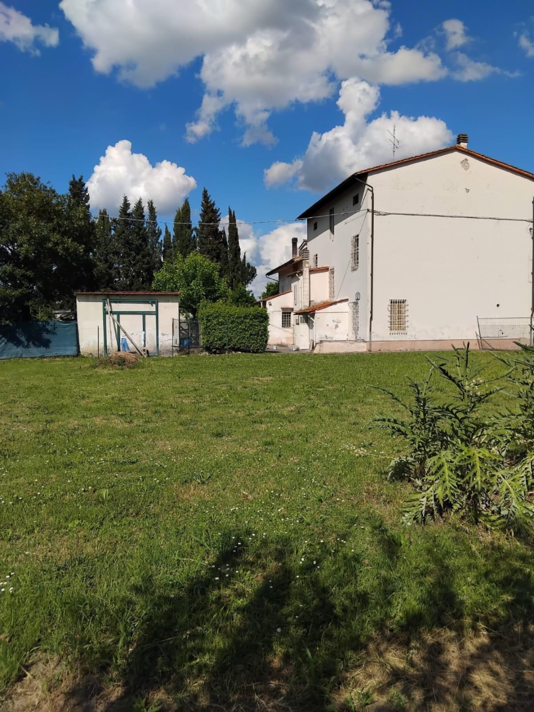 immagine annuncio 4 di 8