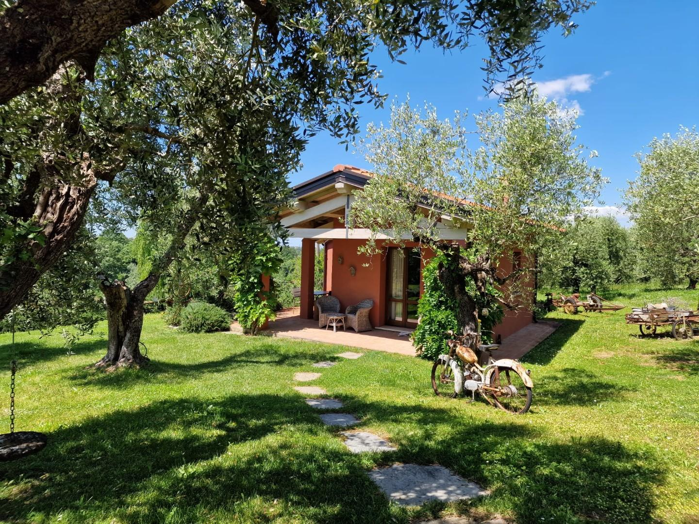 immagine annuncio 5 di 10