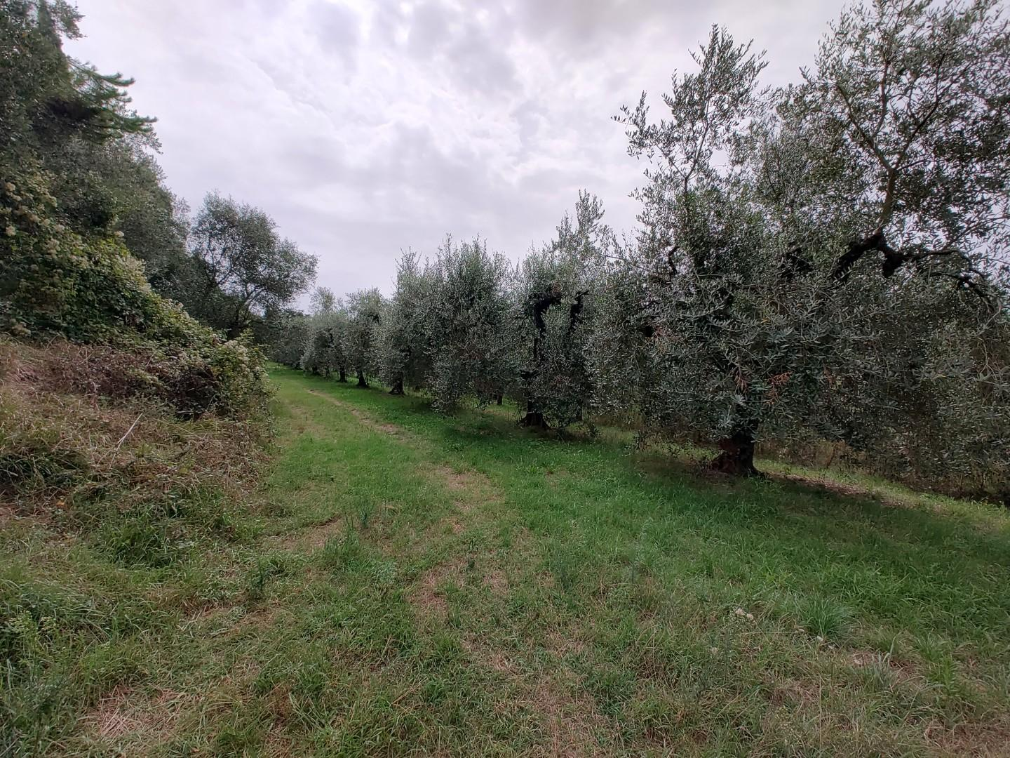 immagine annuncio 4 di 7