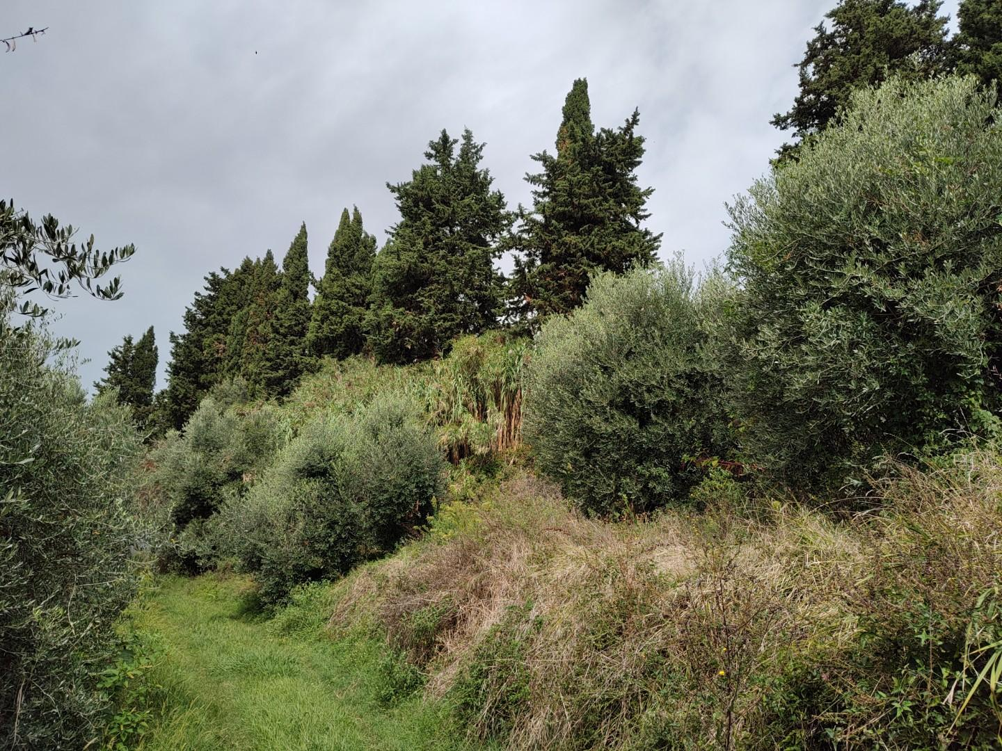 immagine annuncio 5 di 7