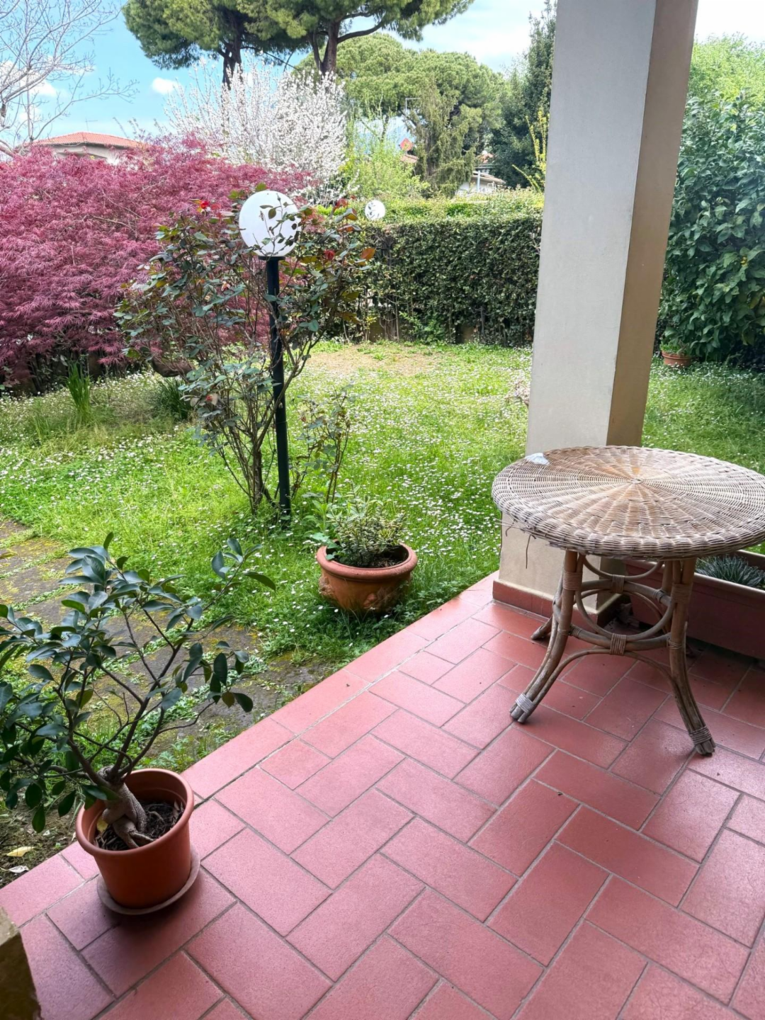 immagine annuncio 9 di 10