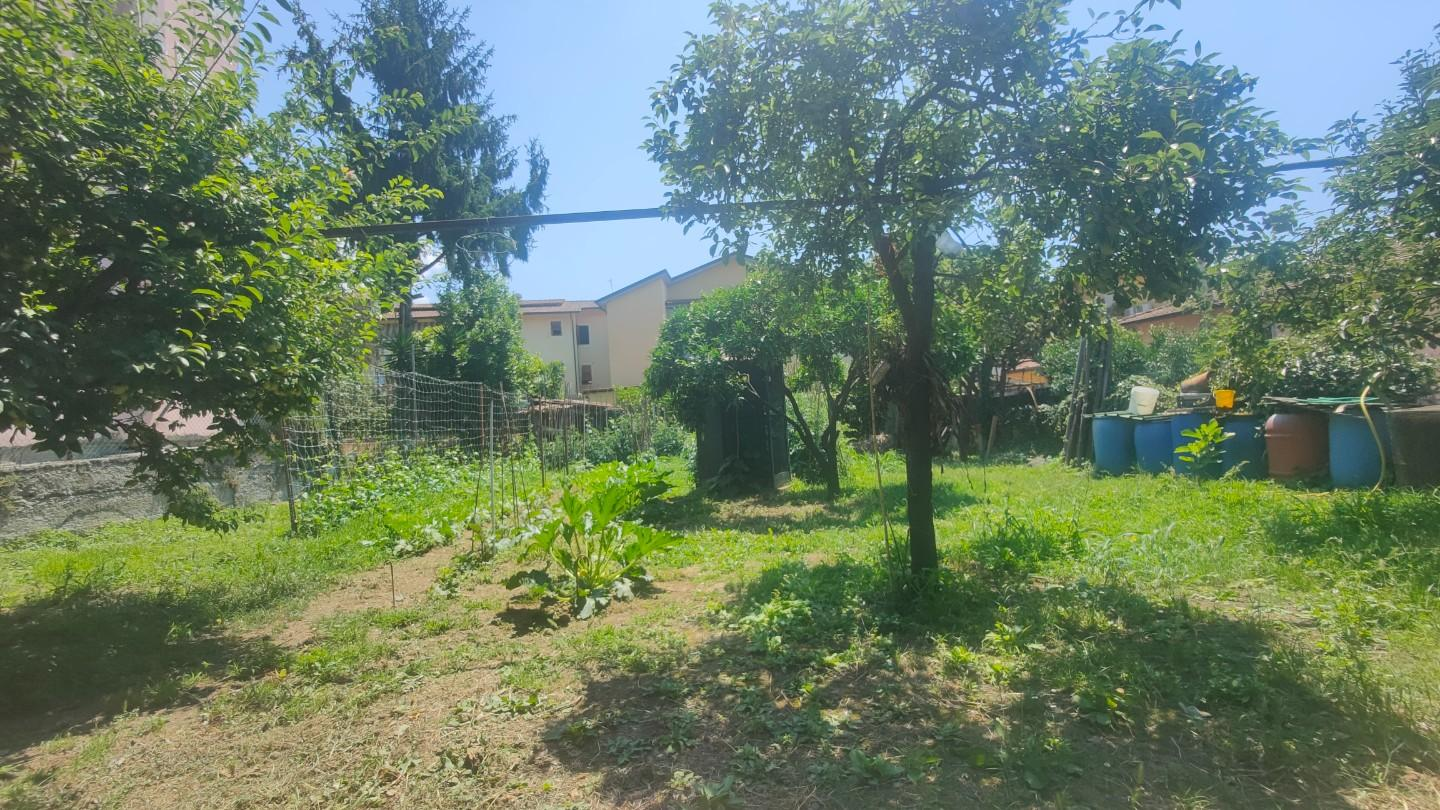 immagine annuncio 6 di 10