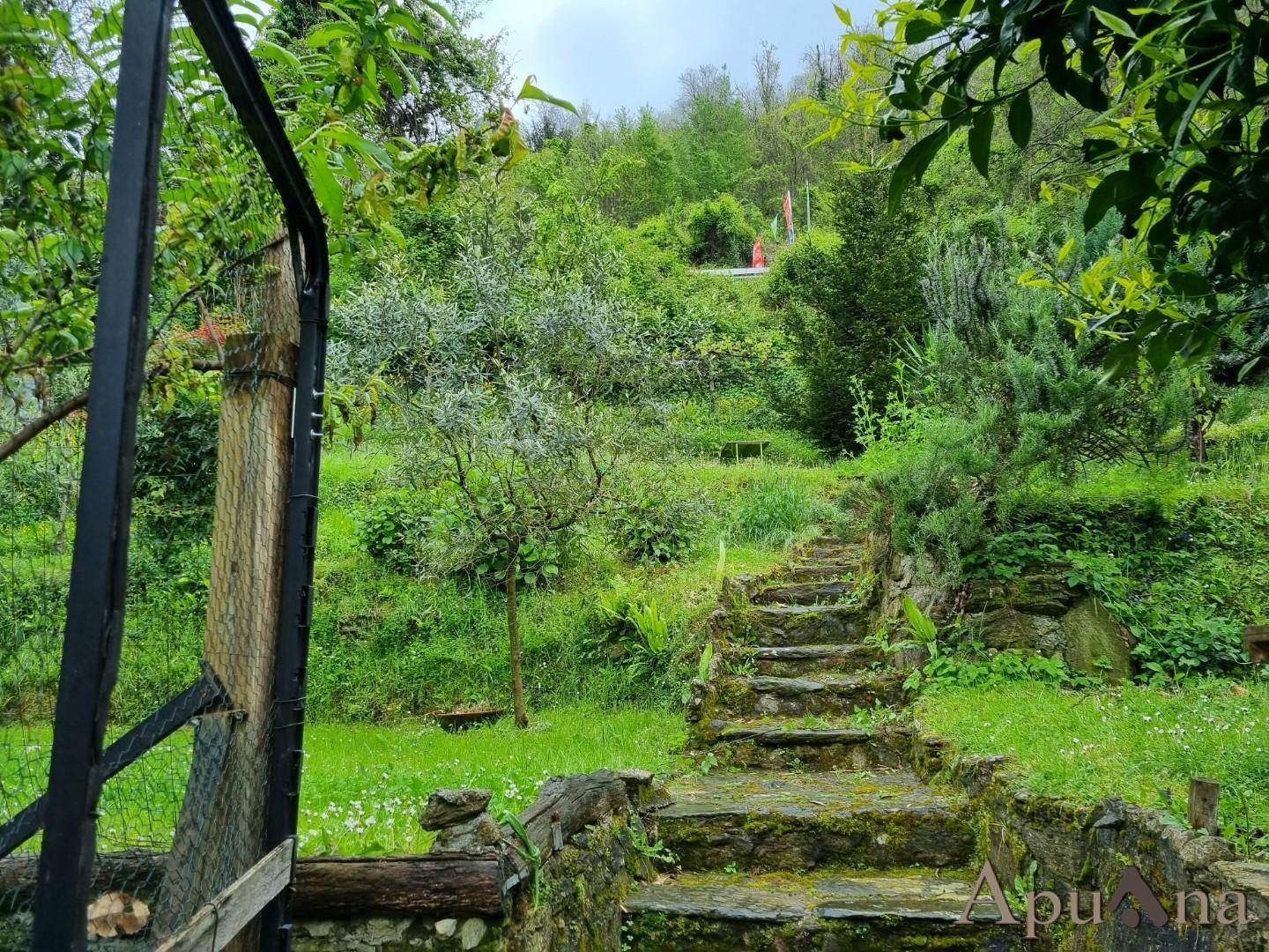 immagine annuncio 4 di 10