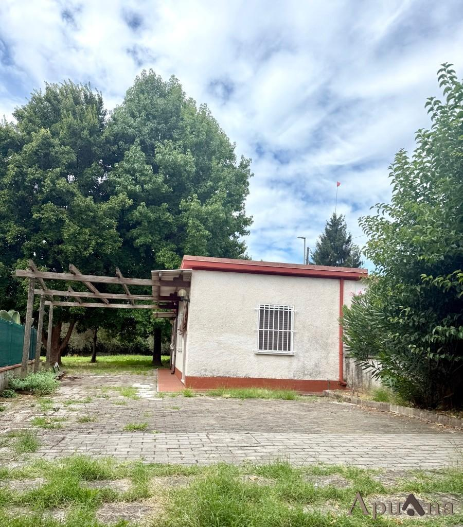 immagine annuncio 4 di 10