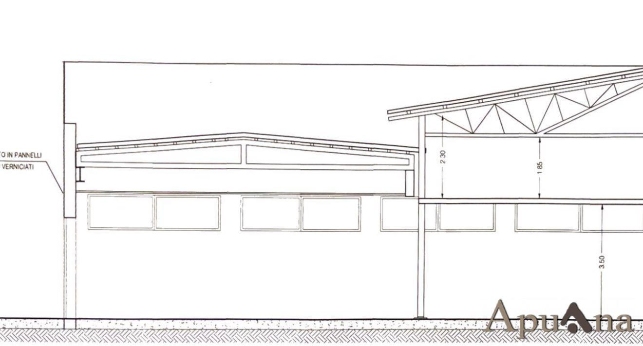 immagine annuncio 1 di 9