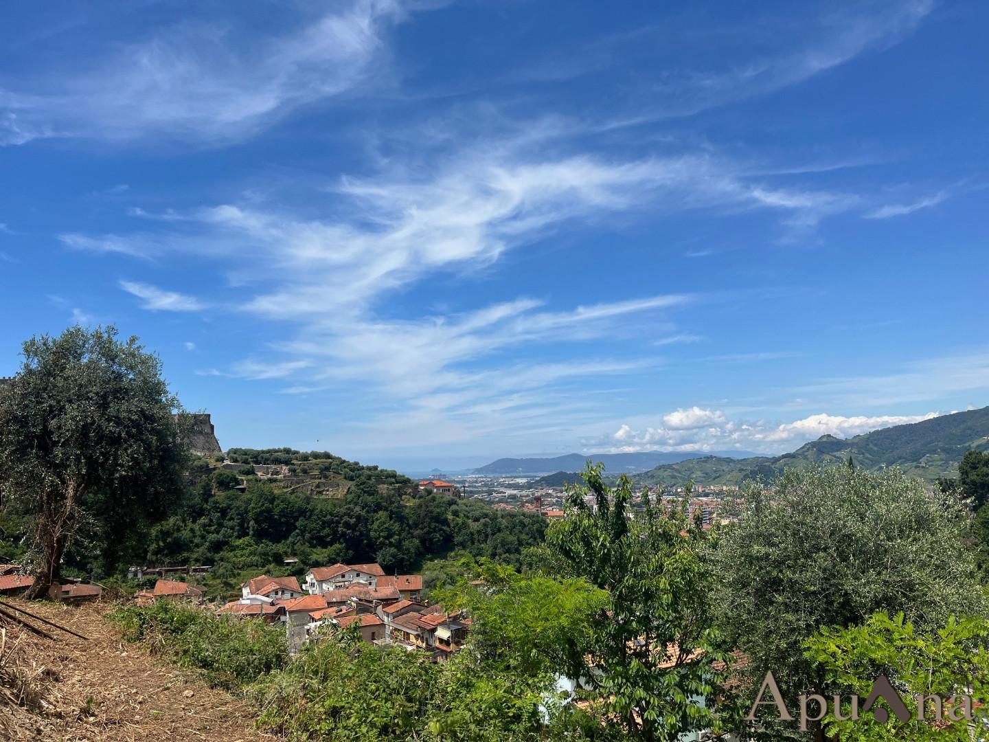 immagine annuncio 6 di 7