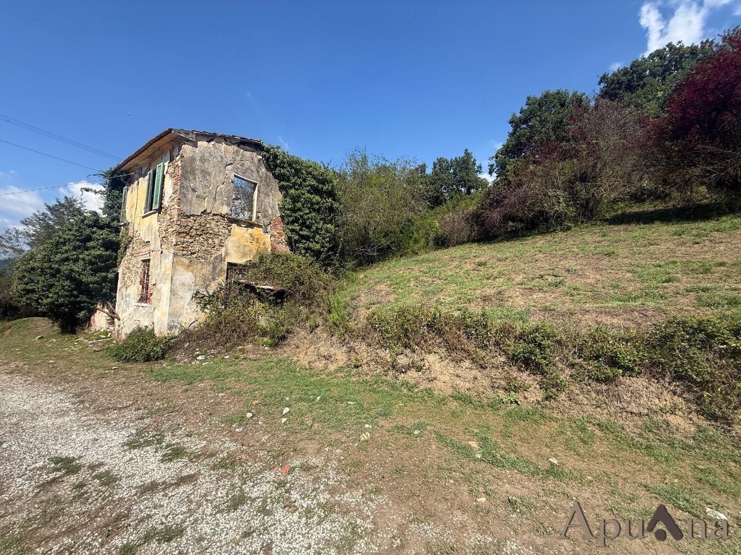 immagine annuncio 2 di 8