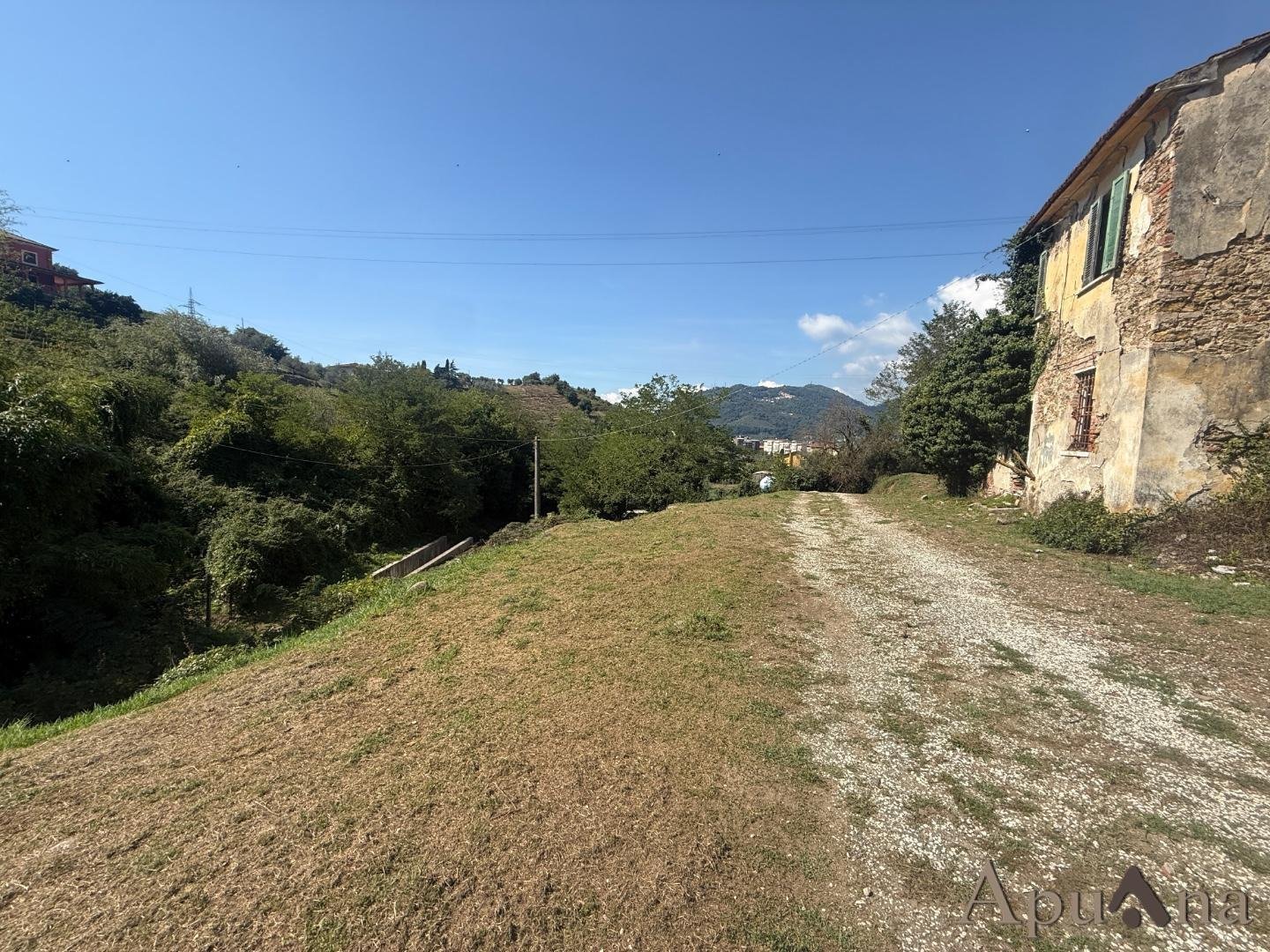 immagine annuncio 3 di 8