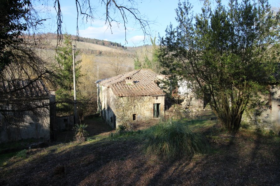 immagine annuncio 5 di 10