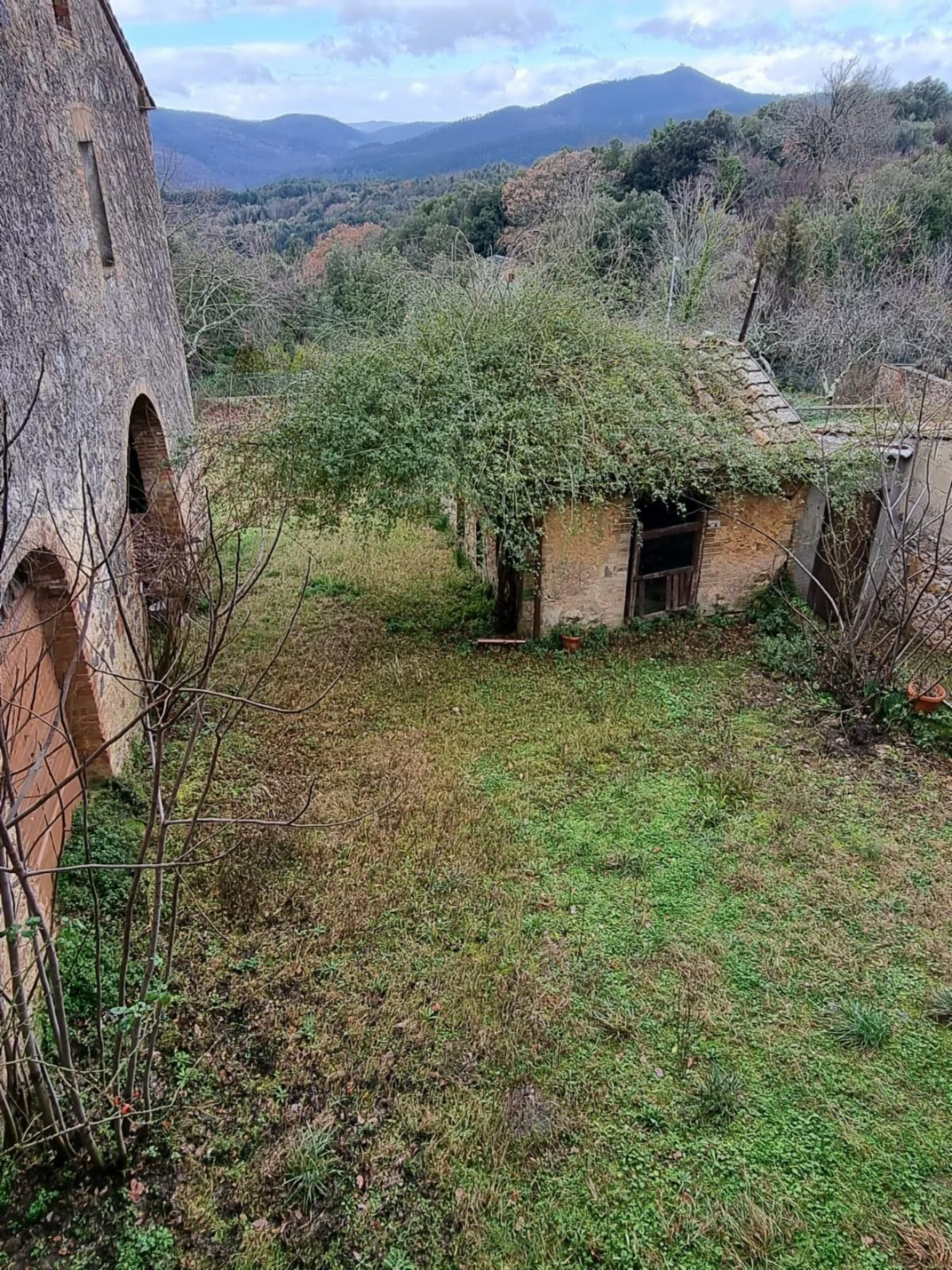 immagine annuncio 5 di 9