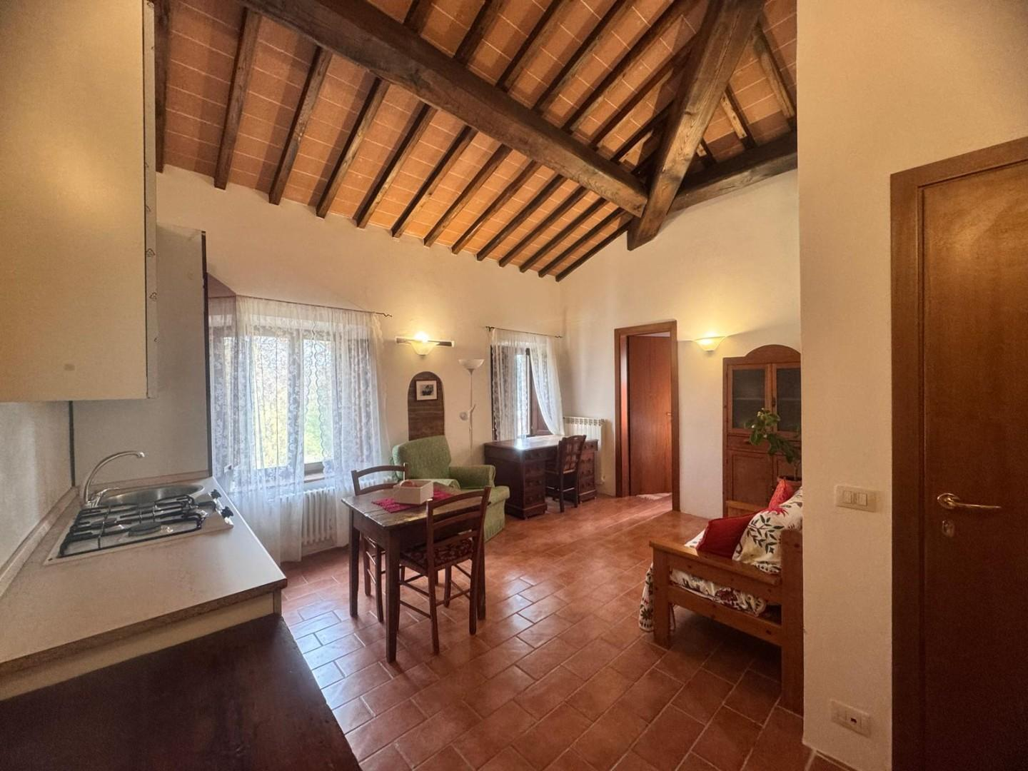 immagine annuncio 1 di 8