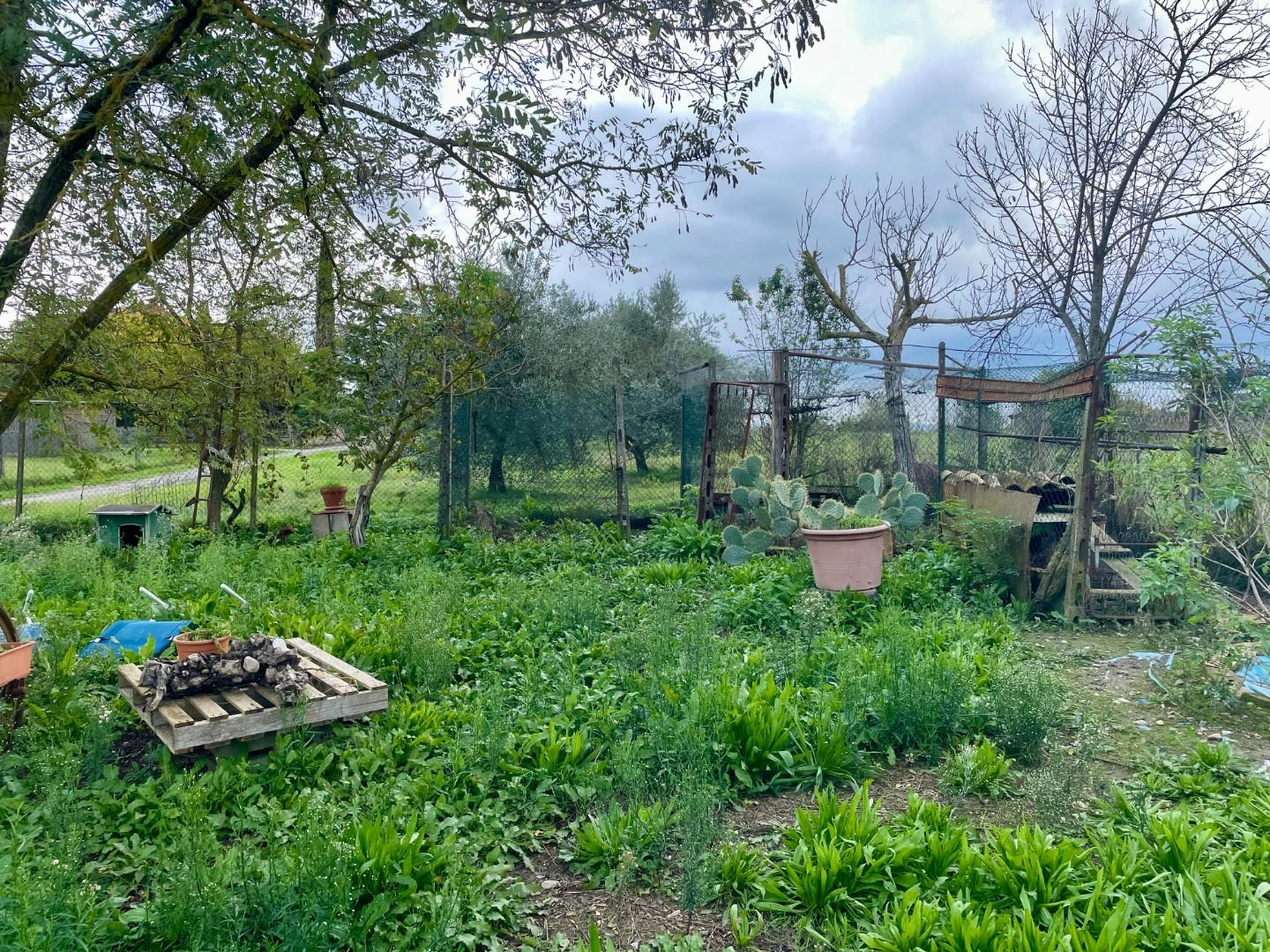 immagine annuncio 1 di 6