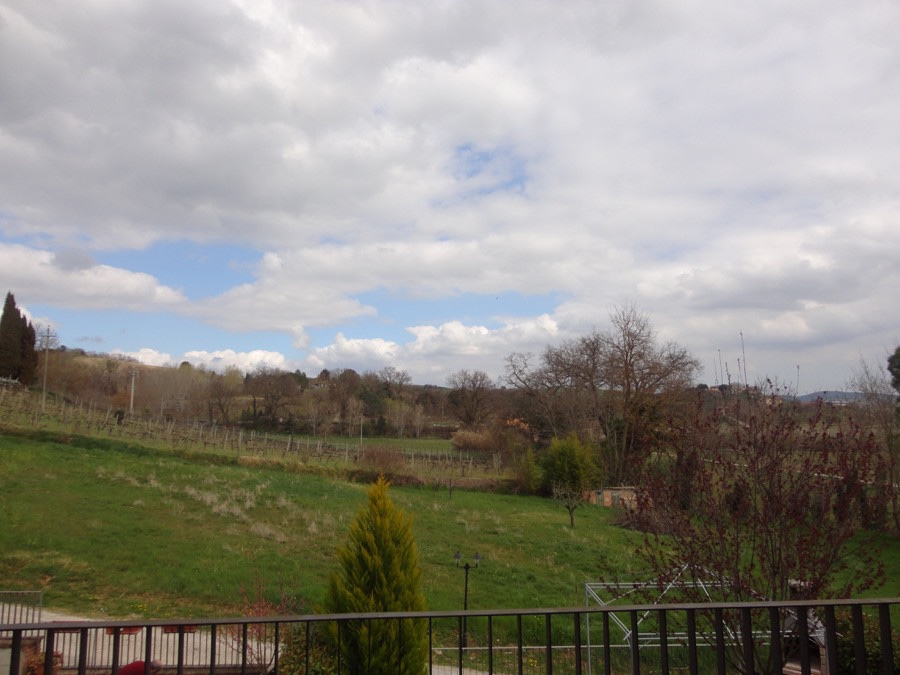 immagine annuncio 4 di 6