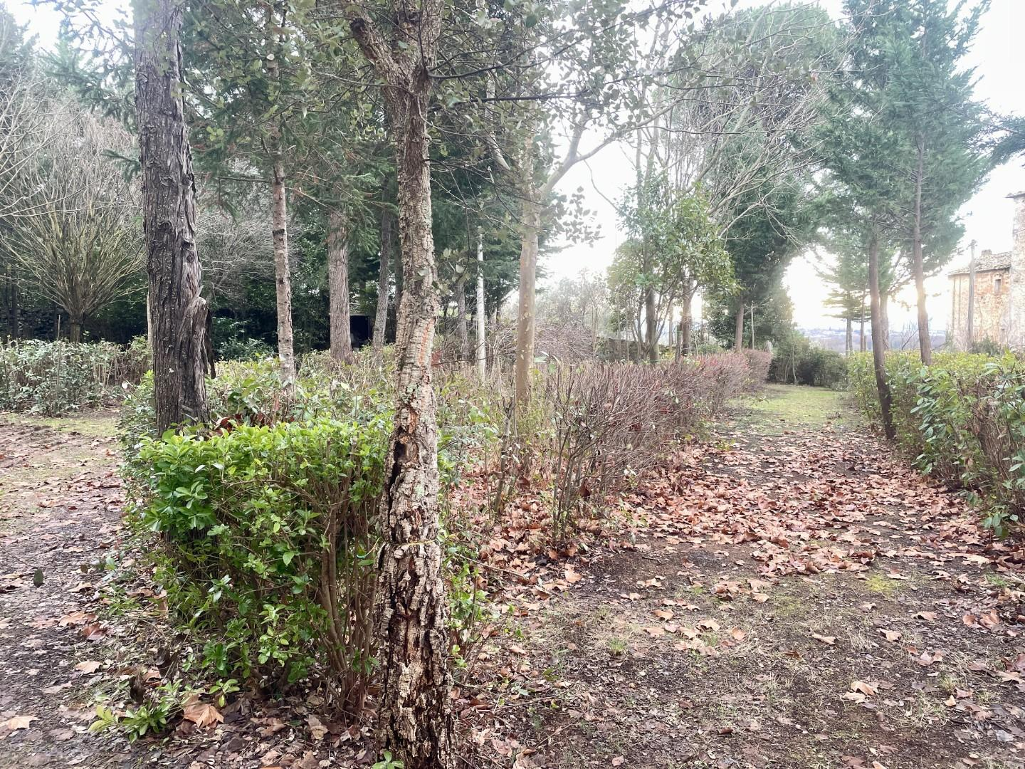 terreno agricolo in vendita a Siena