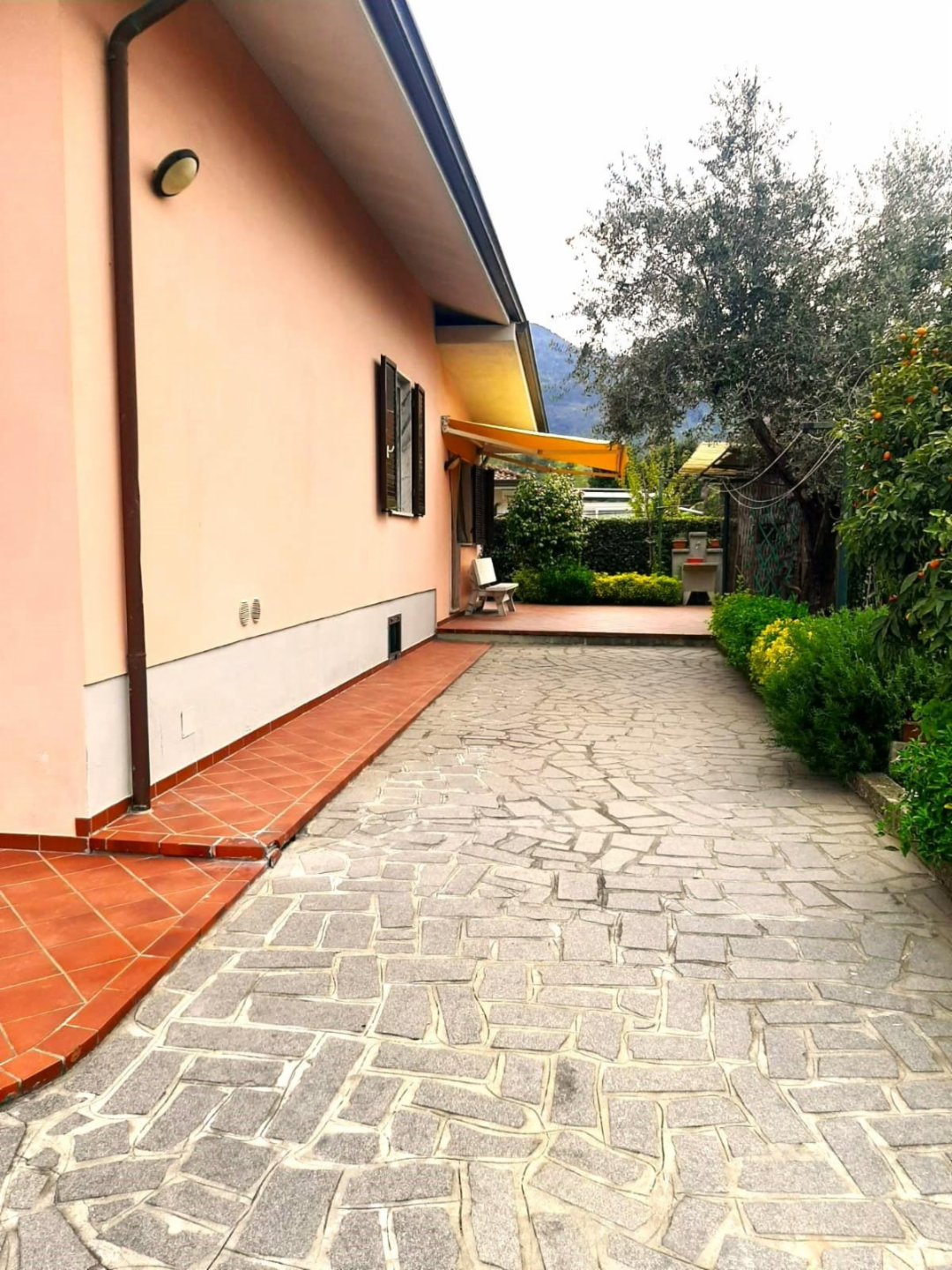 immagine annuncio 7 di 10