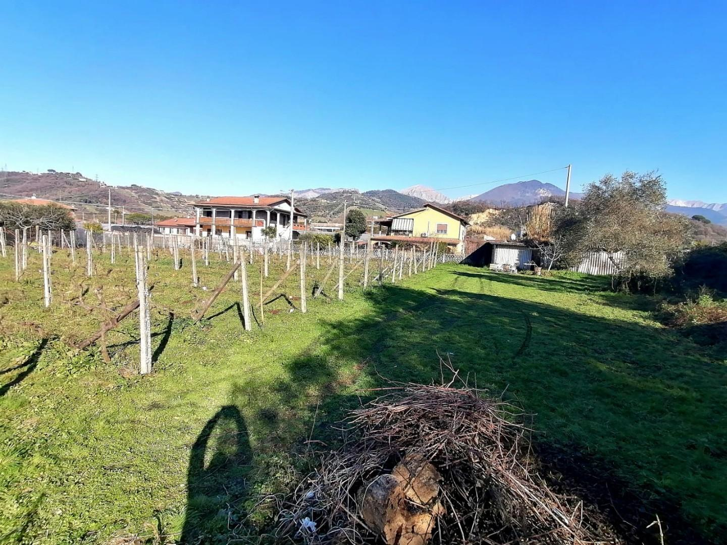 immagine annuncio 2 di 4