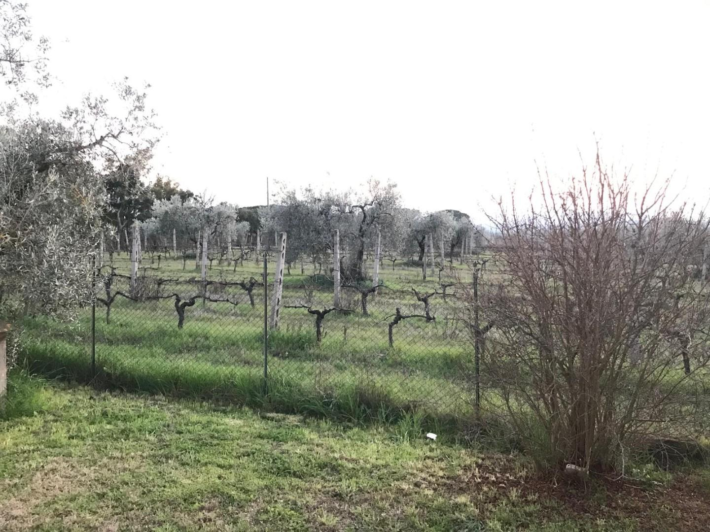immagine annuncio 7 di 8