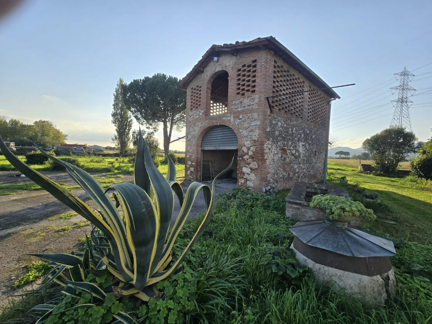 immagine annuncio 3 di 4