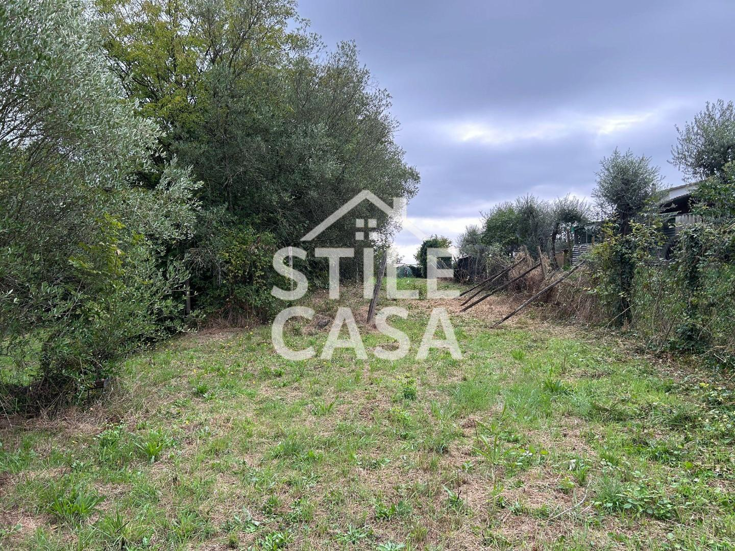 terreno agricolo in vendita a Fucecchio in zona Massarella