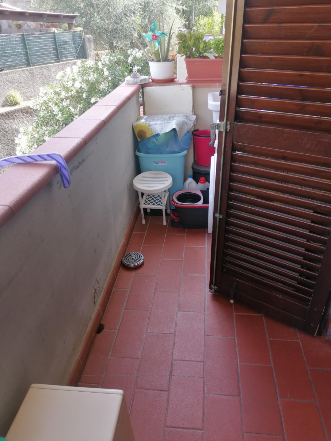 immagine annuncio 3 di 7