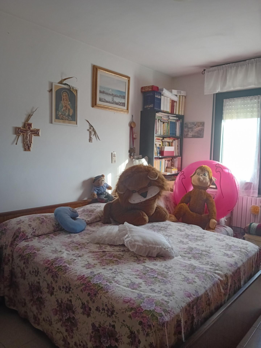 immagine annuncio 9 di 10