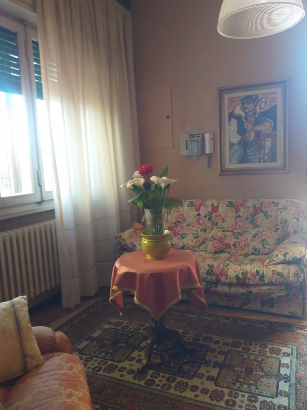 immagine annuncio 2 di 7
