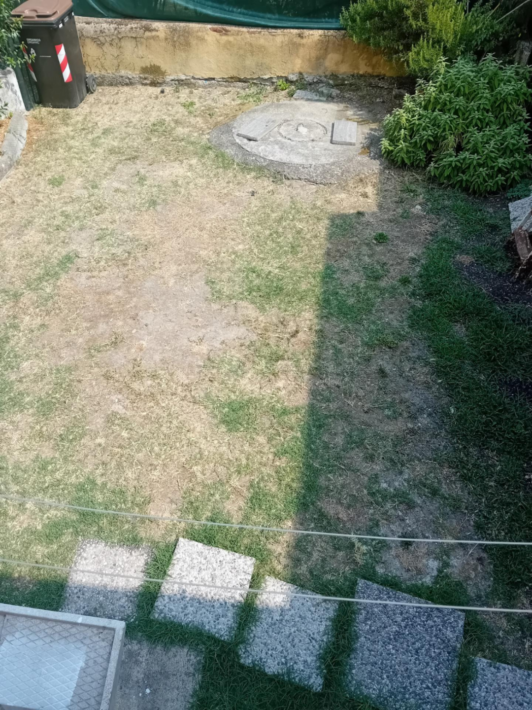 immagine annuncio 5 di 6