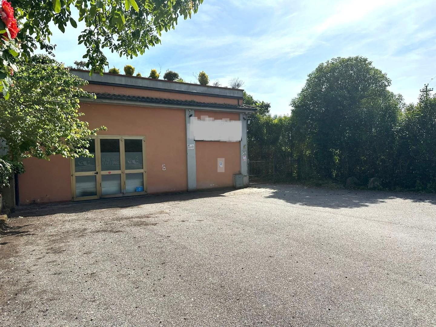 immagine annuncio 3 di 8