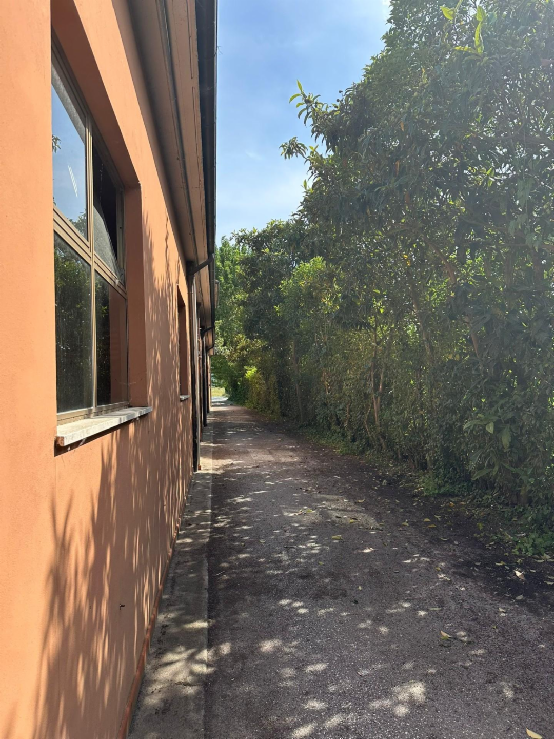 immagine annuncio 6 di 8