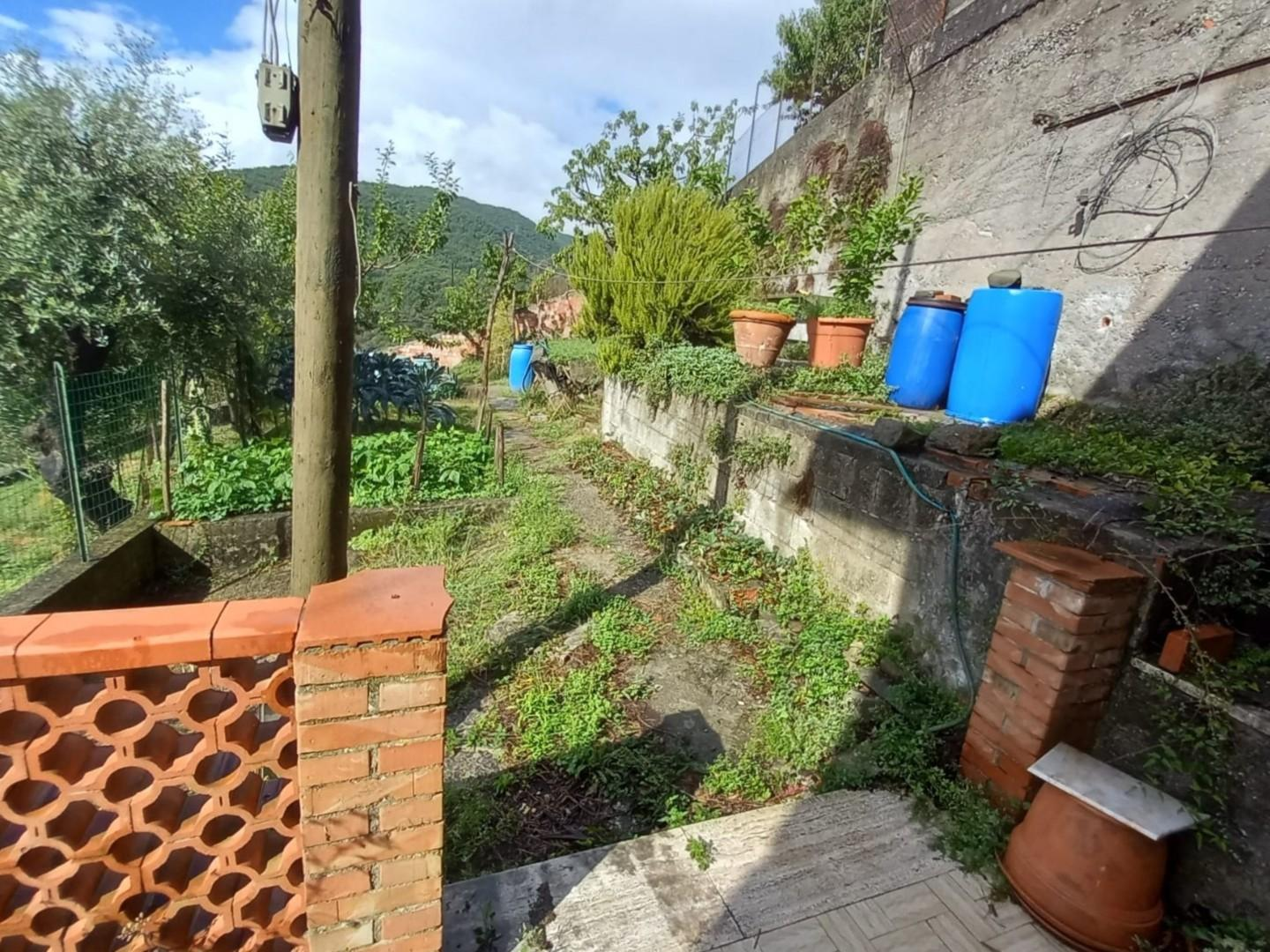 immagine annuncio 5 di 9