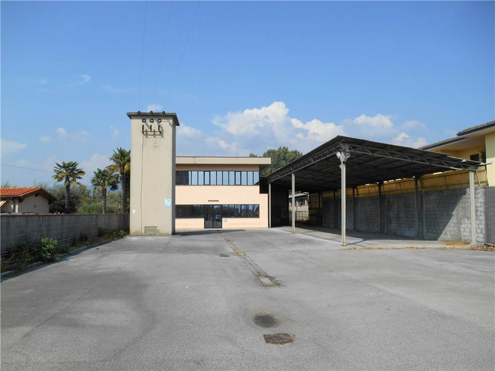 immagine annuncio 4 di 7