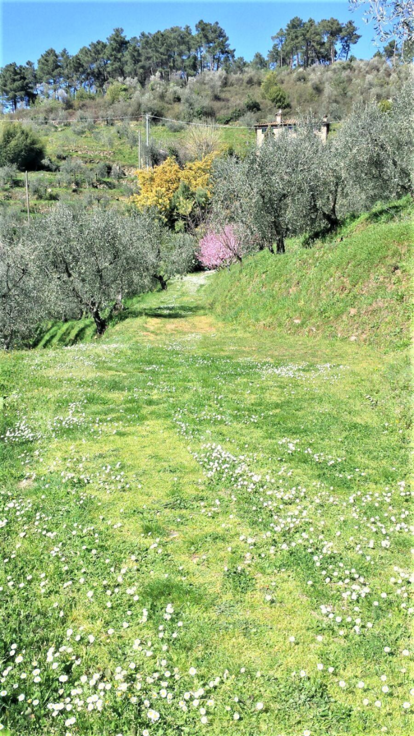 immagine annuncio 2 di 3